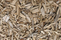 biomass boilers Cribyn
