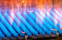 Cribyn gas fired boilers